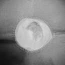 덕정 동물의료센터 이미지