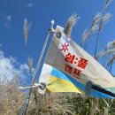 쉼송지호 | 2025 자원봉사센터 관리자 연수(2차) 쉼풀캠프 2기 스케치 in 제주