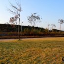 캠핑더하기 이미지