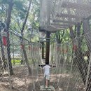 산성계곡 생태공원 내 | [영덕여행] 초등 아이 대만족한 산성계곡생태공원어드벤처