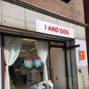 오도DOG 펫살롱 | 일산 동구 &#34;I AND DOG&#34; 프리미엄 펫살롱 원목안전문