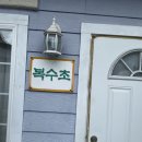 라벤하임 | [강원도강아지동반여행] 라벤하임펜션, 수미 카페, 대관령 자연애, 대관령 한우프라자