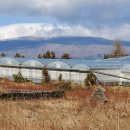 남원읍 공천포구 이미지