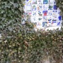 구인농장 이미지