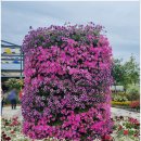 곡성-139 이미지