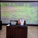 장의사백병원 네이버블로그