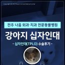 나음동물메디컬센터 이미지