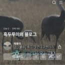 서구모아산부인과 네이버블로그