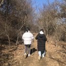 죽산안경마을 이미지