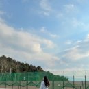 동원주 테니스장 이미지