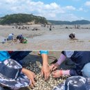 갯벌생태 체험장 | 서울 근교 아이와 가볼만한 인천 갯벌체험 추전 명소 best3