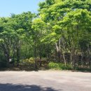 백석근린공원 이미지