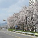 삼문강변로 이미지