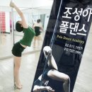 예지킴의 폴댄스 체험기 &lt;조성아 폴댄스 아카데미&gt;