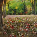 소향공원 이미지