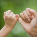 진도모터스 이미지