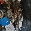 봉암동010 이미지