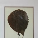 채림농장 이미지