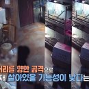 쥬인더시티