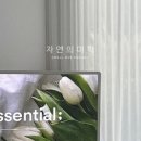 자연의 미학 이미지