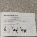 WM 성인 건강을 위한 바른 운동 | [리뷰] 바른 자세를 위한 '로우모 2단 발 받침대 LC99 라이트 Lite' 내돈내산 구매 후기