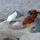 방원가든 이미지