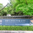 국립경주박물관 황룡사지 발굴조사 50주년 기념특별전 -황룡사,부처의 사리를 모시다-관람후기