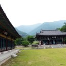 표충사 이미지