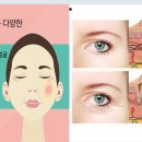 씨투지 이미지