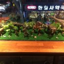 보다샵 이미지