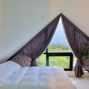 판포3355 이미지