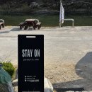 스테이온 119 이미지