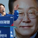 선이 이미지