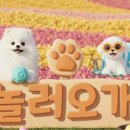 일산애견스쿨 이미지