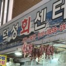 새고성활어 네이버블로그