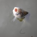 용풍낚시터 이미지