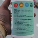 미자애견 이미지