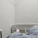 강철병원 이미지