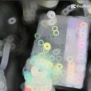 대전짱밧데리