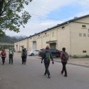 용문산 은행나무길(물소리길 6코스) 이미지