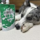 리틀포우 이미지