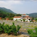 백양사역 이미지