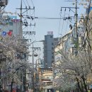 돈삼겹살 | 🐷 을지로 야장 고운돈 내돈내산 후기 : 청주식 파절이 삼겹살과 볶짜면, 쏘맥 / 250411