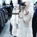 대동콜렉션 이미지