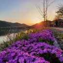 학마을캠프 이미지