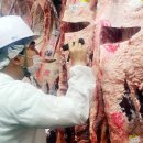 대전충남양돈축산업협동조합 이미지
