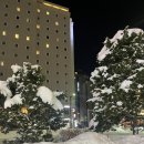 272-2145 | [삿포로] 양고기 맛집 다이츠징기즈칸 후기 + 삿포로는 캐쉬온리 +긴타코 후기 | 승무원 추천 맛집