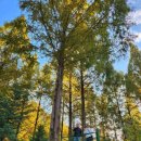 벌곡(논산) 이미지