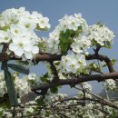 금천초교 이미지