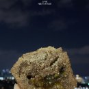 11월의베이크 이미지
